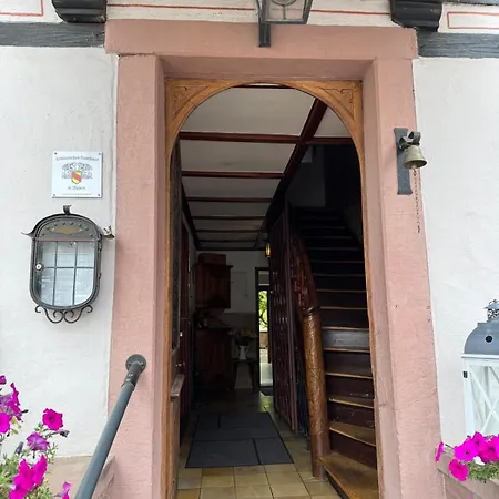 Exklusive Maisonette-wohnung Am Rande Von Freiburg Im Breisgau 아파트 Merzhausen
