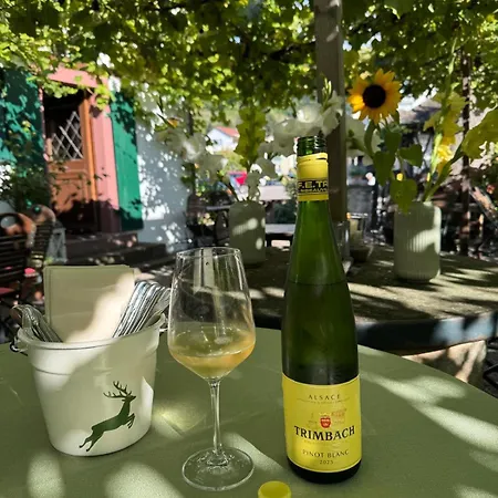 Daire Exklusive Maisonette-wohnung Am Rande Von Freiburg Im Breisgau Merzhausen